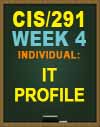 CIS/291 Week 4 Individual: IT Profile